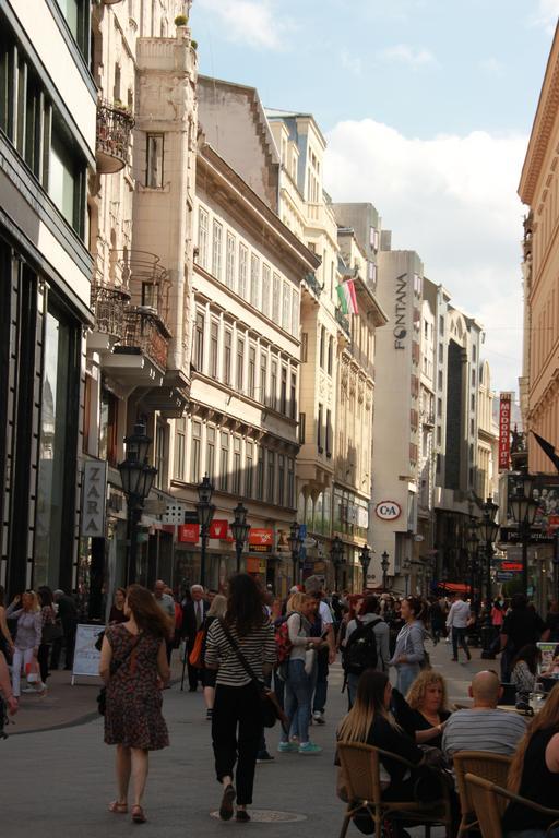 Duna Szecsi Apartman Budapest Eksteriør billede